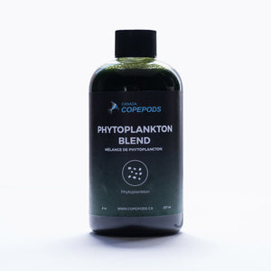 phytoplankton-blend-medium